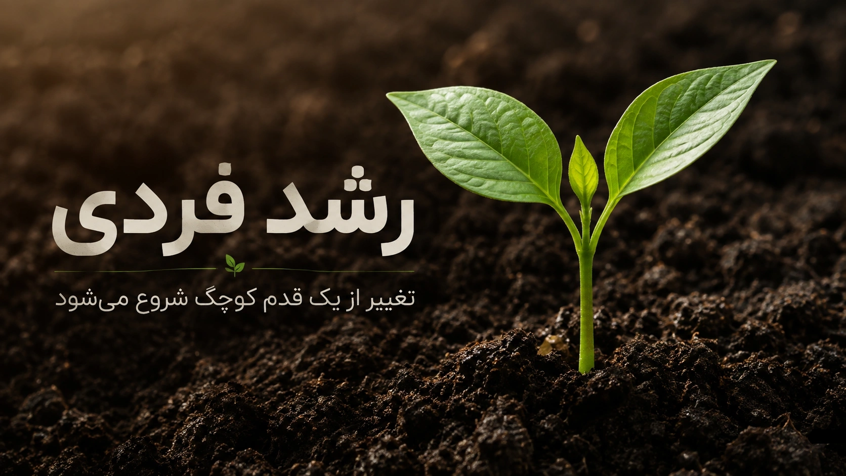 گیاهی که از خاک اومده بیرون و نماد رشد فردی است